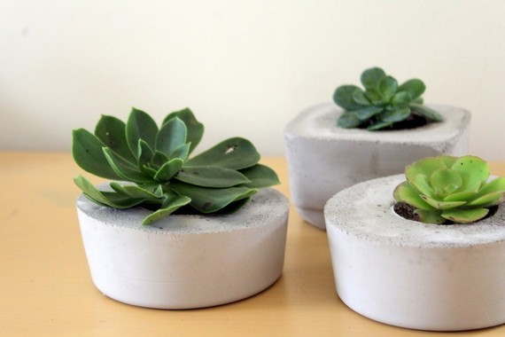 Concrete circle planters