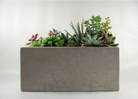 Concrete planter