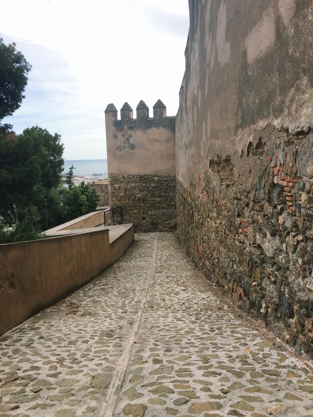 Processed with VSCO with c1 preset