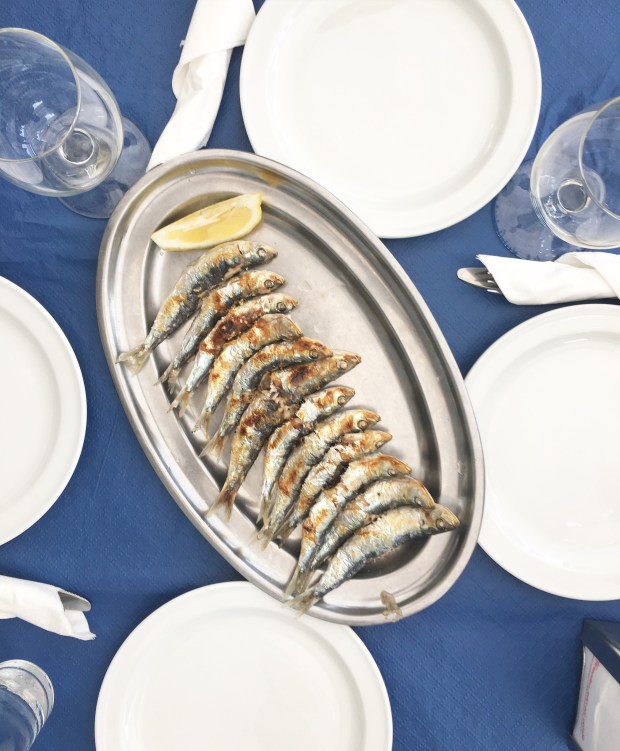 Grilled Sardines in Malaga - Photo by: Nataliya Borener