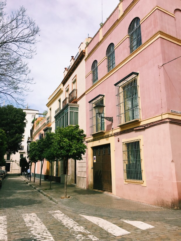 Processed with VSCO with c1 preset